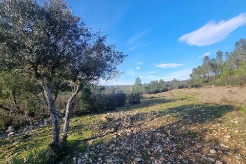 Helårsgrund i Castelo Branco, Castelo Branco, Castelo Branco - € 35.000 | Ref: H724 - foto 22