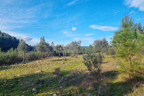 Helårsgrund i Castelo Branco, Castelo Branco, Castelo Branco - € 35.000 | Ref: H724 - foto 24