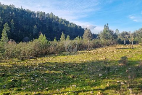 Helårsgrund i Castelo Branco, Castelo Branco, Castelo Branco - € 35.000 | Ref: H724 - foto 25