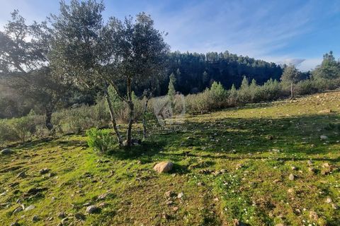 Helårsgrund i Castelo Branco, Castelo Branco, Castelo Branco - € 35.000 | Ref: H724 - foto 26