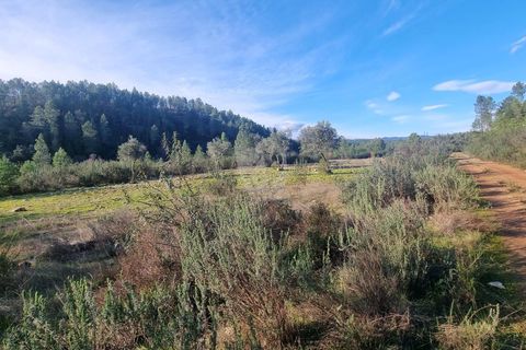 Helårsgrund i Castelo Branco, Castelo Branco, Castelo Branco - € 35.000 | Ref: H724 - foto 27