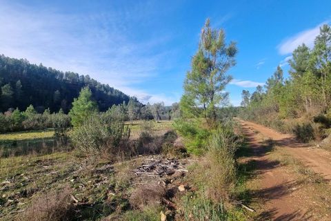 Helårsgrund i Castelo Branco, Castelo Branco, Castelo Branco - € 35.000 | Ref: H724 - foto 29
