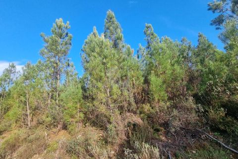 Helårsgrund i Castelo Branco, Castelo Branco, Castelo Branco - € 35.000 | Ref: H724 - foto 32