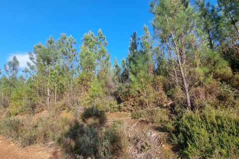 Helårsgrund i Castelo Branco, Castelo Branco, Castelo Branco - € 35.000 | Ref: H724 - foto 33
