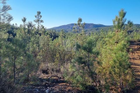 Helårsgrund i Castelo Branco, Castelo Branco, Castelo Branco - € 35.000 | Ref: H724 - foto 35