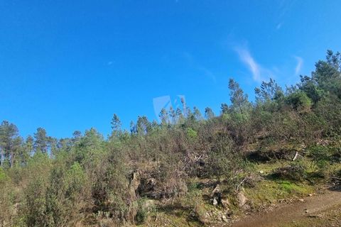 Helårsgrund i Castelo Branco, Castelo Branco, Castelo Branco - € 35.000 | Ref: H724 - foto 36