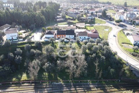 Helårsgrund i Coimbra, Coimbra, Coimbra - € 39.000 | Ref: 385/T/00824 - foto 2
