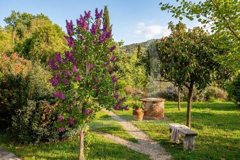 Landejendom i Cortona, Arezzo, Cortona - € 745.000 | Ref: a1190rc3302 - foto 4