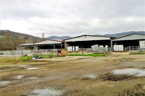 Farm hus i Umbertide, Perugia, Umbertide - € 3.300.000 | Ref: a6380ta1899408a - foto 1