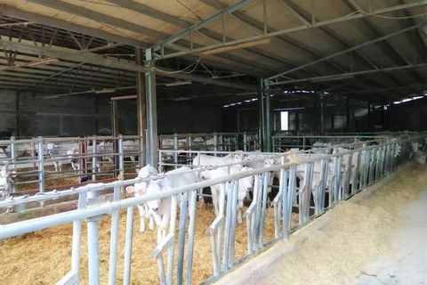 Farm hus i Umbertide, Perugia, Umbertide - € 3.300.000 | Ref: a6380ta1899408a - foto 5
