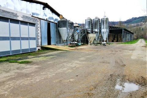 Farm hus i Umbertide, Perugia, Umbertide - € 3.300.000 | Ref: a6380ta1899408a - foto 6