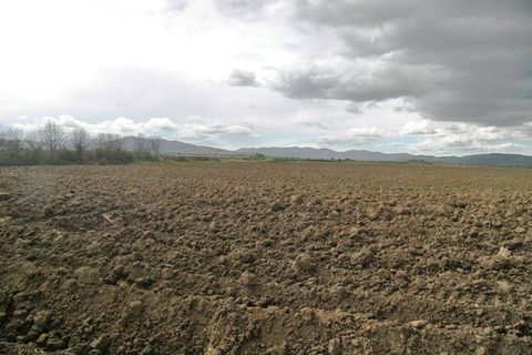 Farm hus i Grosseto, Grosseto, Grosseto - € 3.600.000 | Ref: a6380ta800359a - foto 3