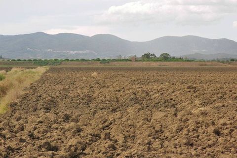 Farm hus i Grosseto, Grosseto, Grosseto - € 3.600.000 | Ref: a6380ta800359a - foto 7