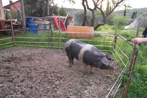 Farm hus i Sinalunga, Siena, Sinalunga - € 700.000 | Ref: a6380ta800188a - foto 2