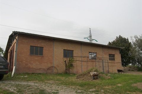 Farm hus i Sinalunga, Siena, Sinalunga - € 700.000 | Ref: a6380ta800188a - foto 5