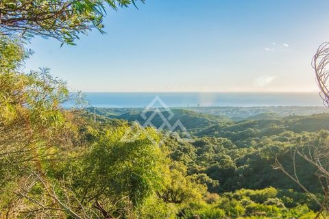 Helårsgrund i Ojen, Malaga, Ojen - € 9.000.000 | Ref: LMN-0004 - foto 6