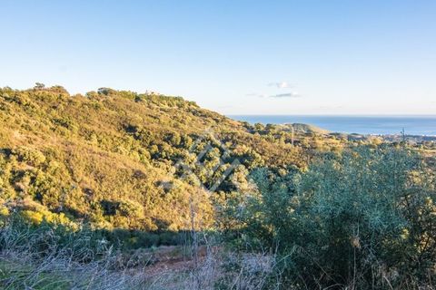 Helårsgrund i Ojen, Malaga, Ojen - € 9.000.000 | Ref: LMN-0004 - foto 8