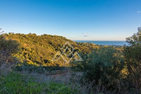 Helårsgrund i Ojen, Malaga, Ojen - € 9.000.000 | Ref: LMN-0004 - foto 9