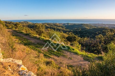 Helårsgrund i Ojen, Malaga, Ojen - € 9.000.000 | Ref: LMN-0004 - foto 11