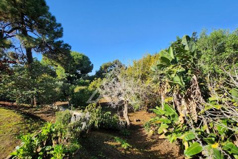 Villa a Las Chapas, Malaga, Las Chapas - € 1.200.000 | Ref: MPA-0030 - foto 46
