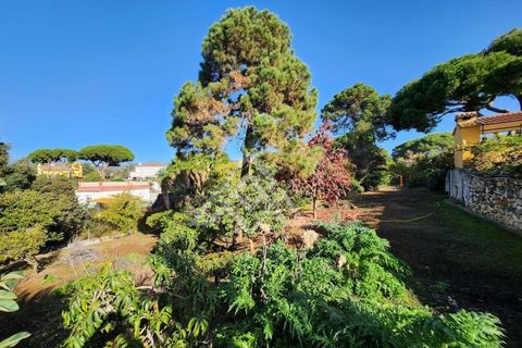 Villa a Las Chapas, Malaga, Las Chapas - € 1.200.000 | Ref: MPA-0030 - foto 48