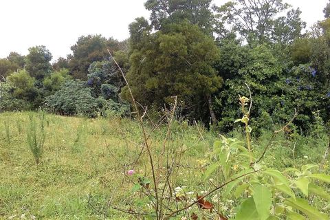 Helårsgrund i Ponta Delgada, Sao Miguel, Ponta Delgada - € 935.000 | Ref: CB11-T/04377 - foto 3