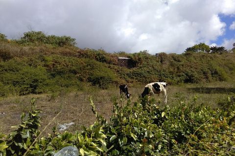 Helårsgrund i Ponta Delgada, Sao Miguel, Ponta Delgada - € 480.000 | Ref: CB11-T/04380 - foto 3