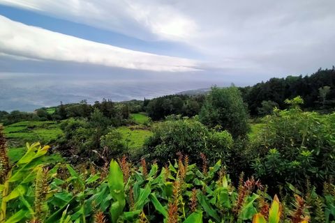 Helårsgrund i Lajes do Pico, Pico, Lajes do Pico - € 500.000 | Ref: CB11-0026 - foto 3
