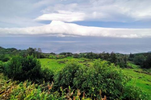Helårsgrund i Lajes do Pico, Pico, Lajes do Pico - € 500.000 | Ref: CB11-0026 - foto 4