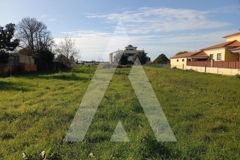 Helårsgrund i Oia, Aveiro, Oia - € 375.000 | Ref: 1051270/25 OB - foto 2