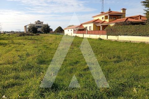 Helårsgrund i Oia, Aveiro, Oia - € 375.000 | Ref: 1051270/25 OB - foto 11