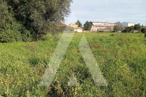 Helårsgrund i Oia, Aveiro, Oia - € 375.000 | Ref: 1051270/25 OB - foto 13