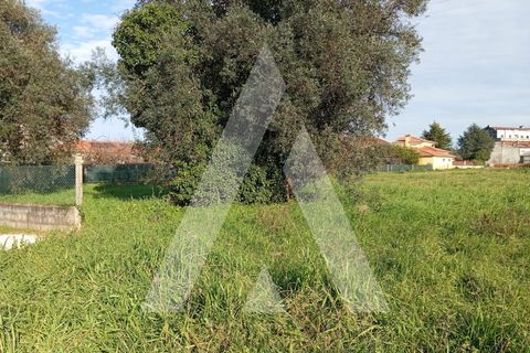 Helårsgrund i Oia, Aveiro, Oia - € 375.000 | Ref: 1051270/25 OB - foto 14