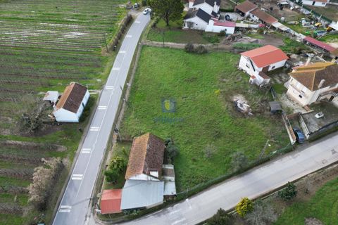 Villa i Alcobaca, Leiria, Alcobaca - € 100.000 | Ref: CAL-216713 - foto 4