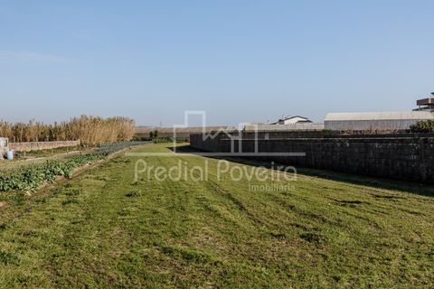 Villa i Agucadoura, Porto, Agucadoura - € 181.000 | Ref: 3024 - foto 14