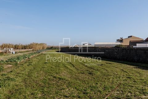 Villa i Agucadoura, Porto, Agucadoura - € 181.000 | Ref: 3024 - foto 15