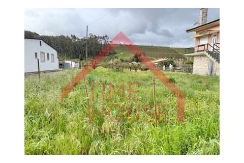 Helårsgrund i Cadaval, Lisbon, Cadaval - € 39.500 | Ref: TER_TH-MA 195 - foto 21