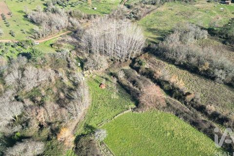 Helårsgrund i Penela, Coimbra, Penela - € 29.000 | Ref: 136219 - foto 9