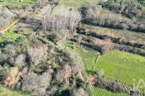 Helårsgrund i Penela, Coimbra, Penela - € 29.000 | Ref: 136219 - foto 10