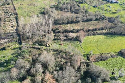 Helårsgrund i Penela, Coimbra, Penela - € 29.000 | Ref: 136219 - foto 11