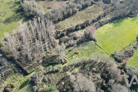 Helårsgrund i Penela, Coimbra, Penela - € 29.000 | Ref: 136219 - foto 12