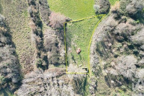 Helårsgrund i Penela, Coimbra, Penela - € 29.000 | Ref: 136219 - foto 13