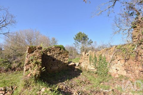 Helårsgrund i Penela, Coimbra, Penela - € 29.000 | Ref: 136219 - foto 19