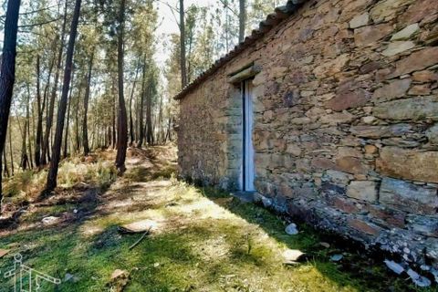 Farm hus i Castelo Branco, Castelo Branco, Castelo Branco - € 44.000 | Ref: 21-11857 - foto 1