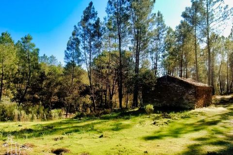 Farm hus i Castelo Branco, Castelo Branco, Castelo Branco - € 44.000 | Ref: 21-11857 - foto 5