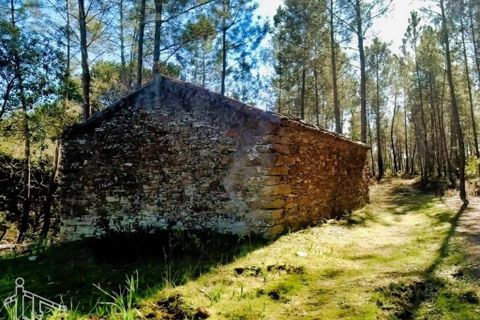 Farm hus i Castelo Branco, Castelo Branco, Castelo Branco - € 44.000 | Ref: 21-11857 - foto 6