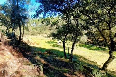 Farm hus i Castelo Branco, Castelo Branco, Castelo Branco - € 44.000 | Ref: 21-11857 - foto 9