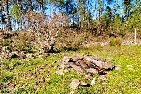 Farm hus i Castelo Branco, Castelo Branco, Castelo Branco - € 44.000 | Ref: 21-11857 - foto 10