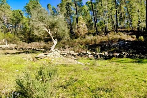 Farm hus i Castelo Branco, Castelo Branco, Castelo Branco - € 44.000 | Ref: 21-11857 - foto 12