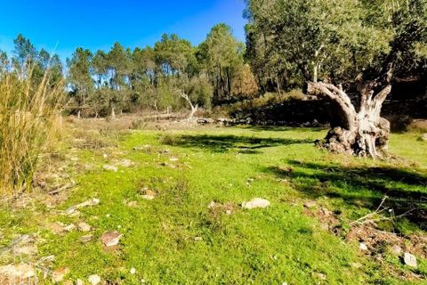 Farm hus i Castelo Branco, Castelo Branco, Castelo Branco - € 44.000 | Ref: 21-11857 - foto 14